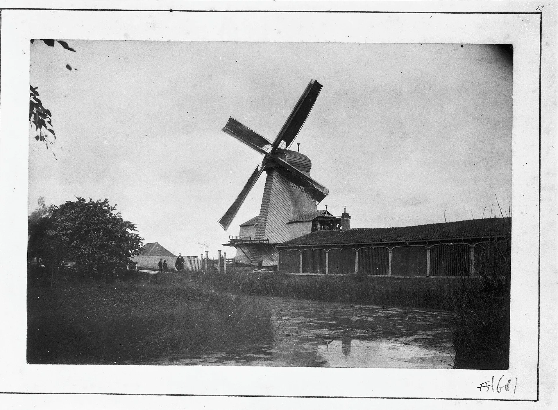 Oude foto van een molen bij Nieuwveen, gereproduceerd uit een foto-album van 1851–1891.